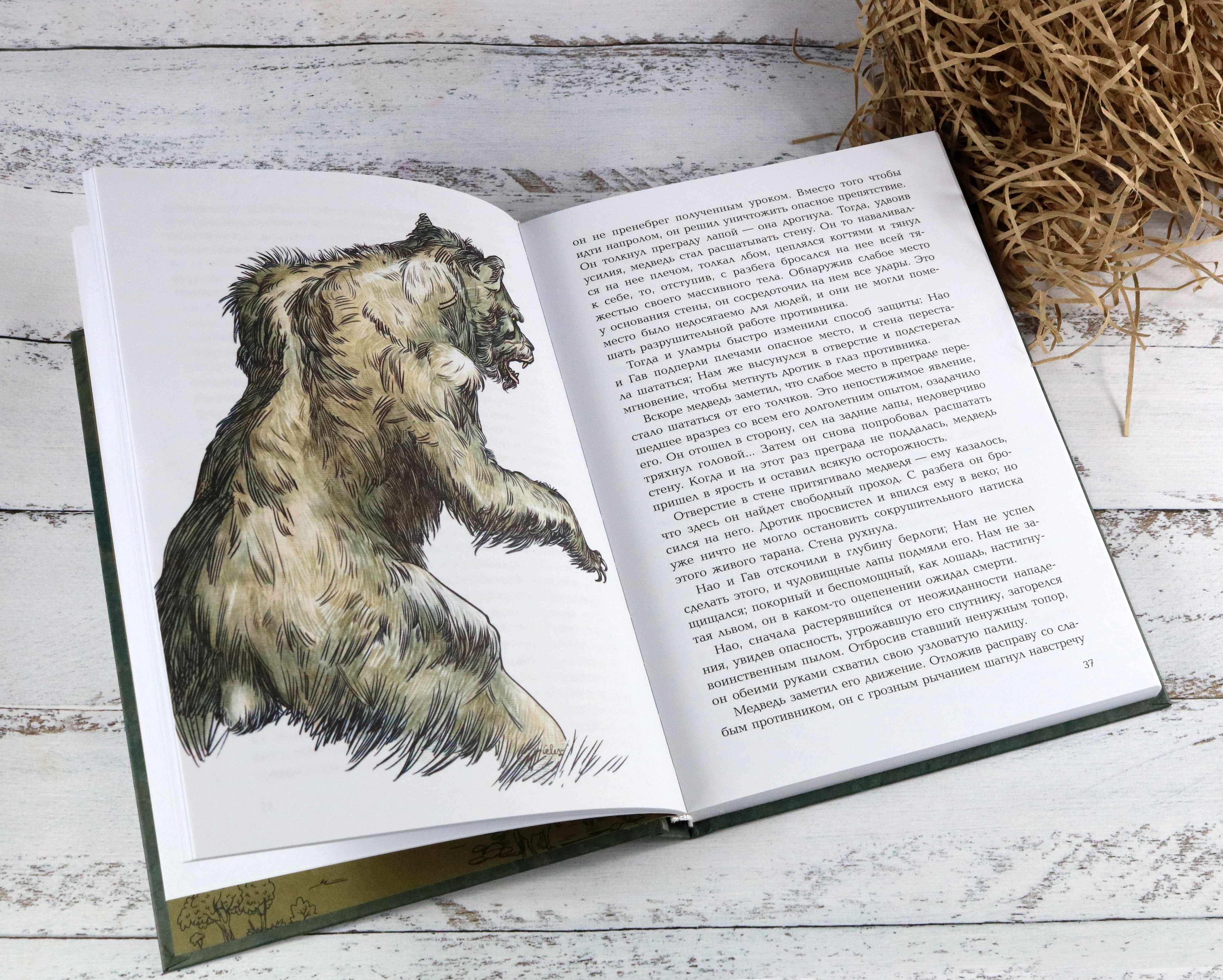 Книга Качели Борьба за Огонь - фото 6