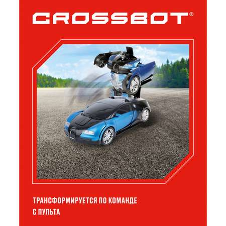 Робот РУ CROSSBOT Astrobot Осирис
