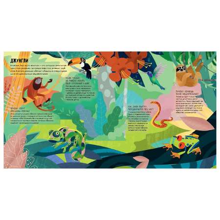 Книга Clever Книжка с окошками Животные мира Ананьева Е