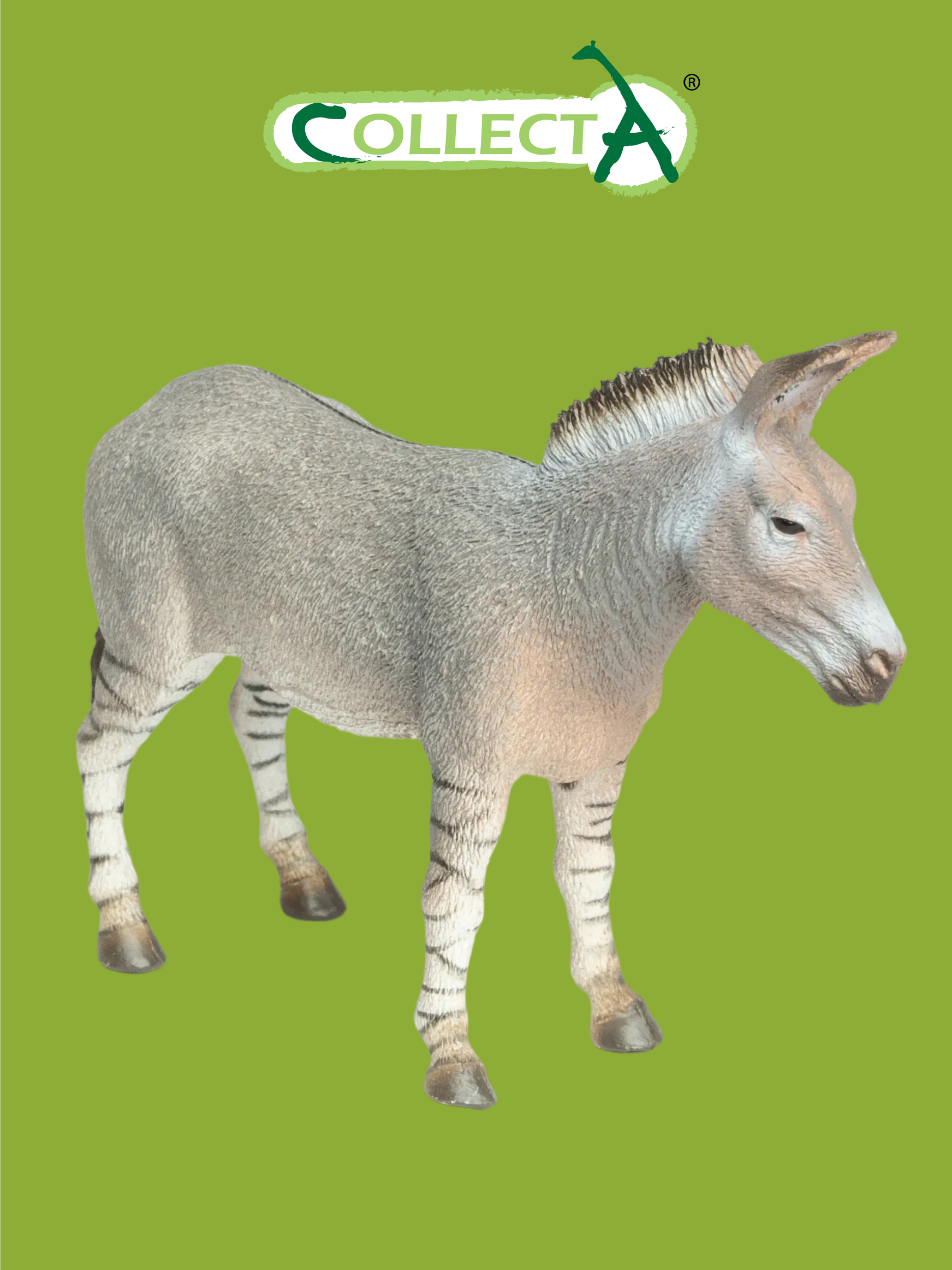 Фигурка Collecta Дикий африканский осел - фото 1