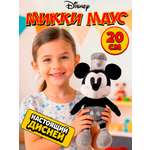 Мягкая игрушка Disney Развивающая игрушка