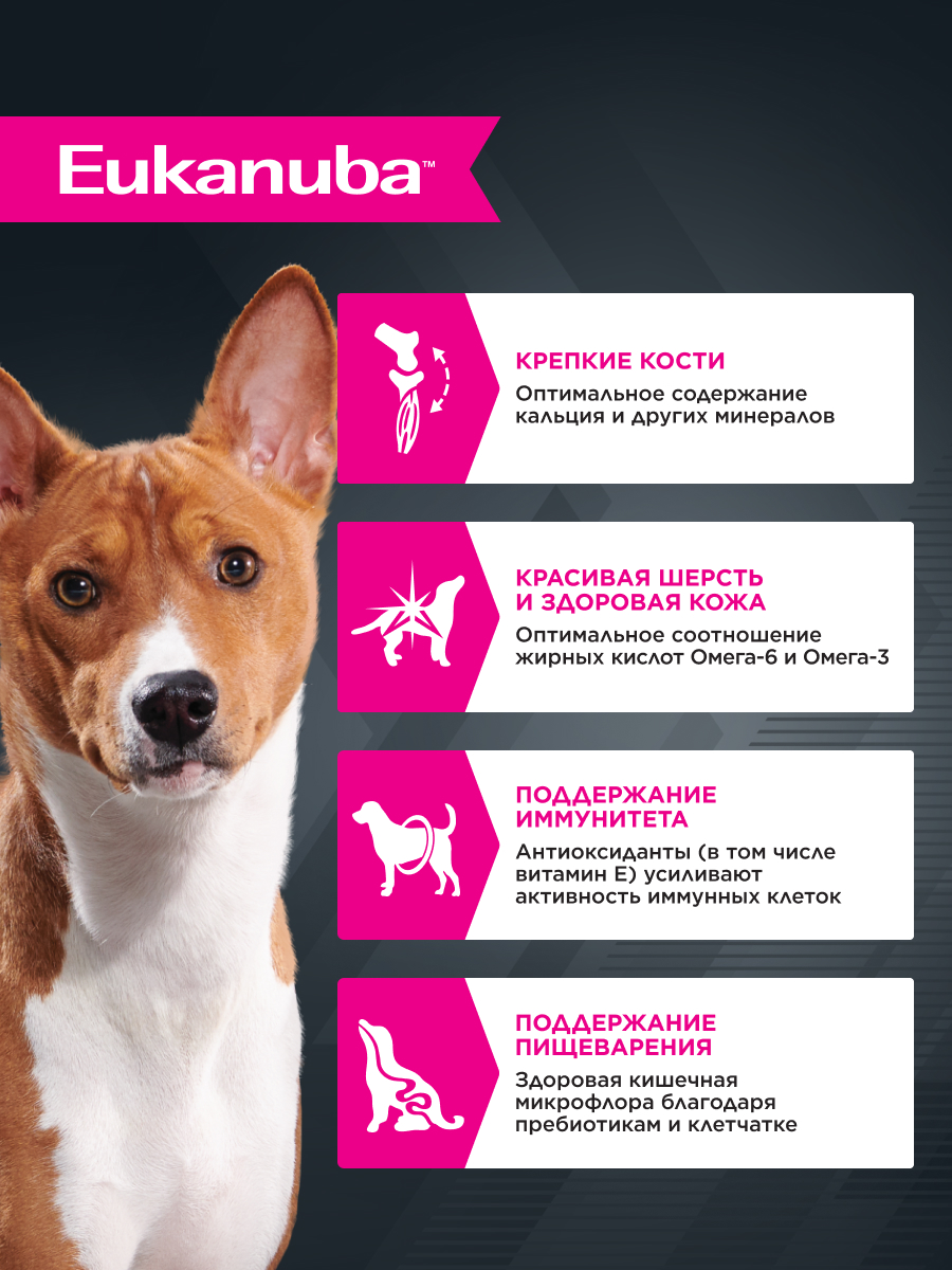 Корм для собак Eukanuba 100г с курицей в соусе пауч - фото 2