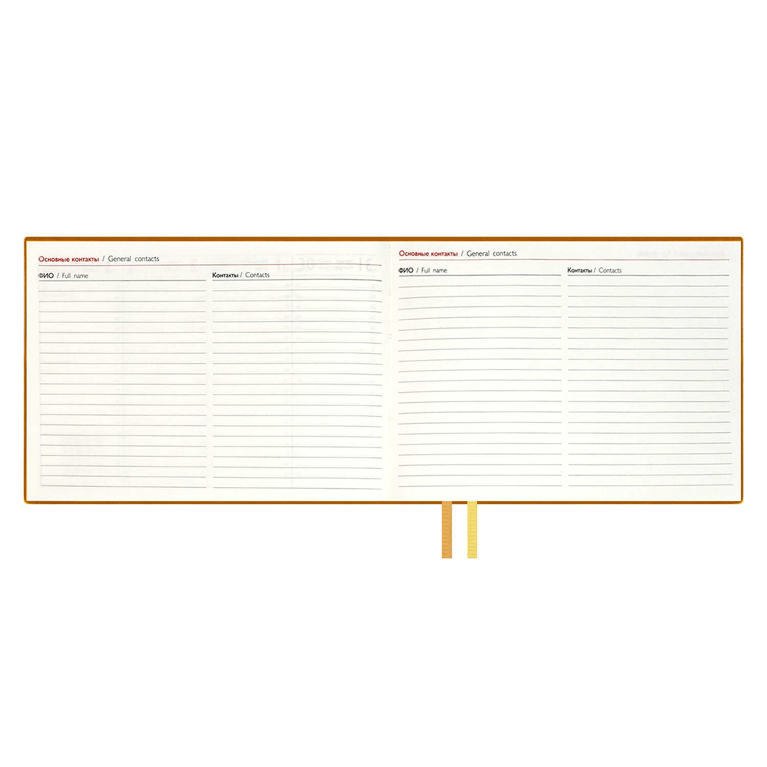 Ежедневник Феникс + ESCALADA 64 лист. - фото 15