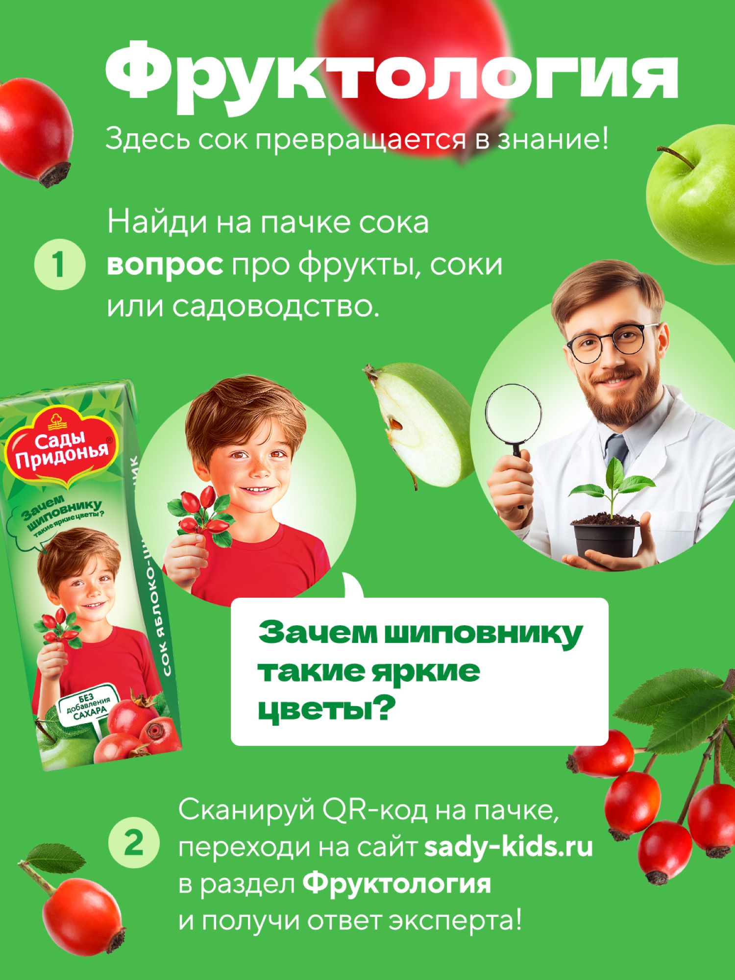 Сок Сады Придонья Яблоко-Шиповник с 6 мес 0.2 л - фото 4