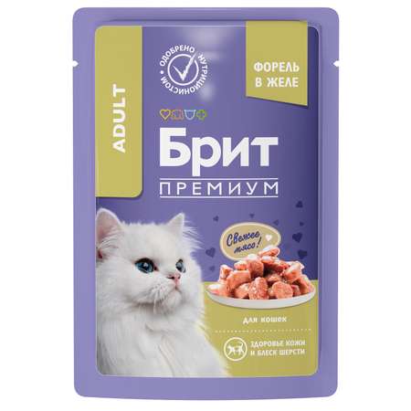 Корм для кошек Brit 85г Premium форель в желе