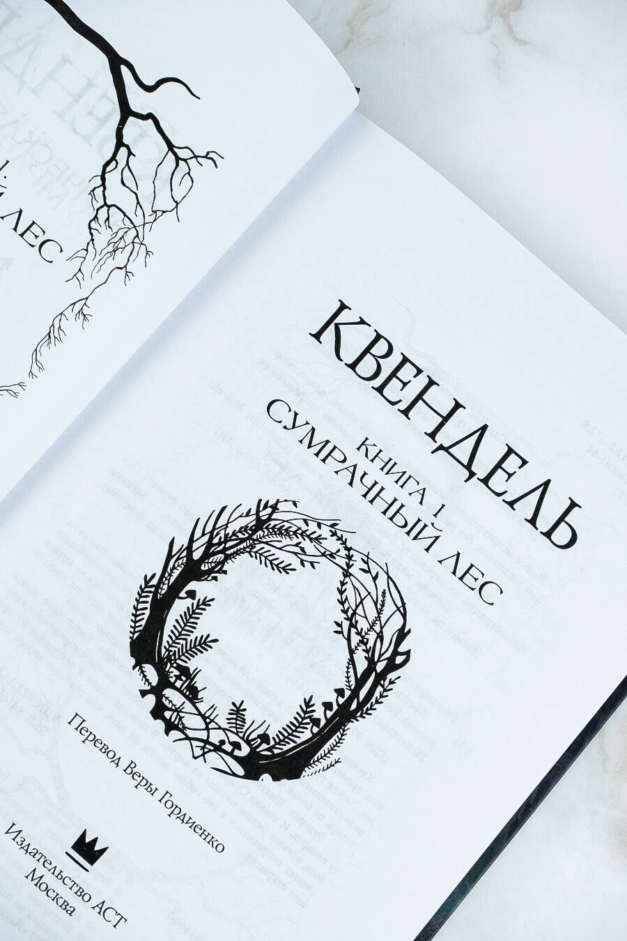 Книги АСТ Квендель. Книга 1. Сумрачный лес - фото 6