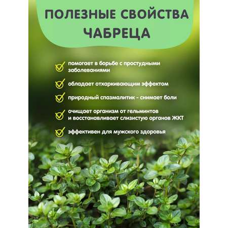 Чай в банке Травы горного Крыма С чабрецом