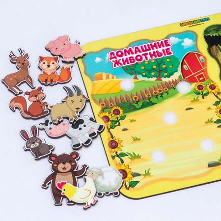 Игрушка WOODLANDTOYS сортер