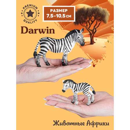 Фигурка DARWIN Животные Зебра с малышом