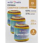 Пряжа Astra Premium 100гр 210м 3шт