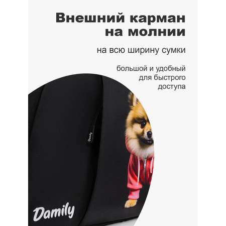 Сумка Damily коричневый