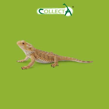 Фигурка Collecta Бородатая ящерица