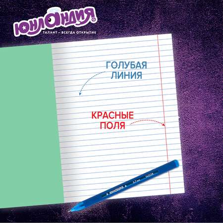 Тетрадь Юнландия линейка 18 лист. 20 шт.