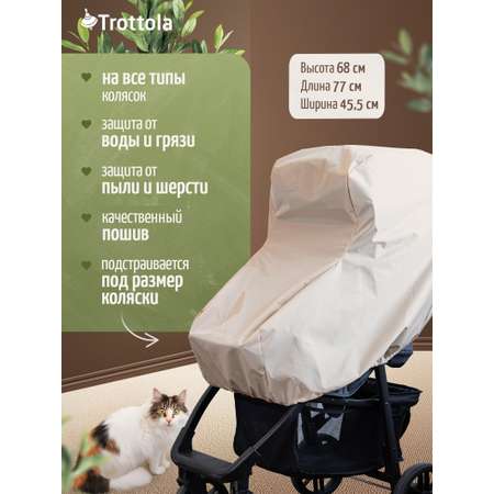 Trottola