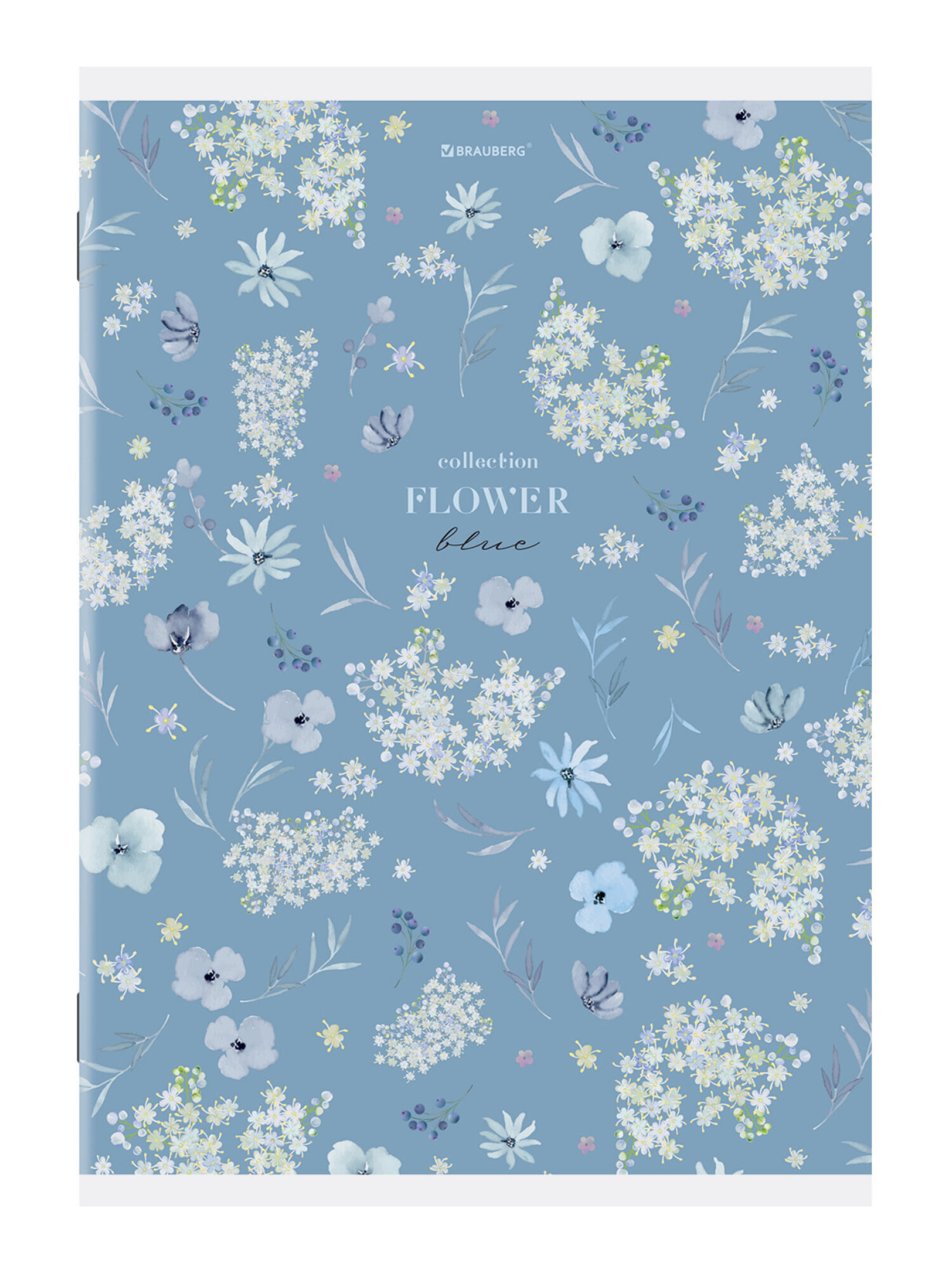 Общая тетрадь Brauberg клетка 96 лист. 3 шт. - фото 13