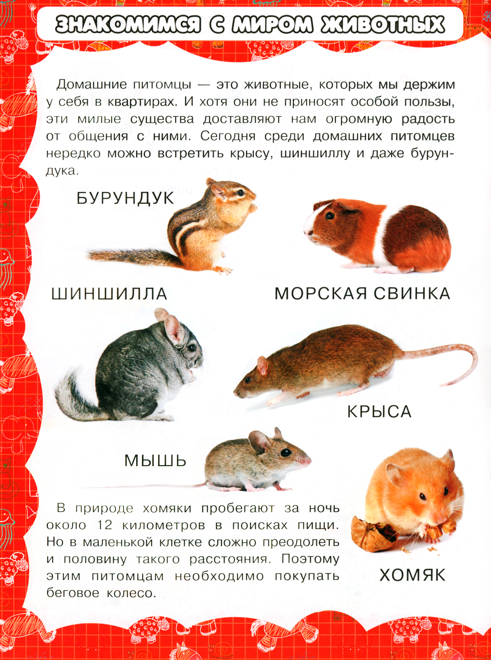 Книга Харвест Животные - фото 2
