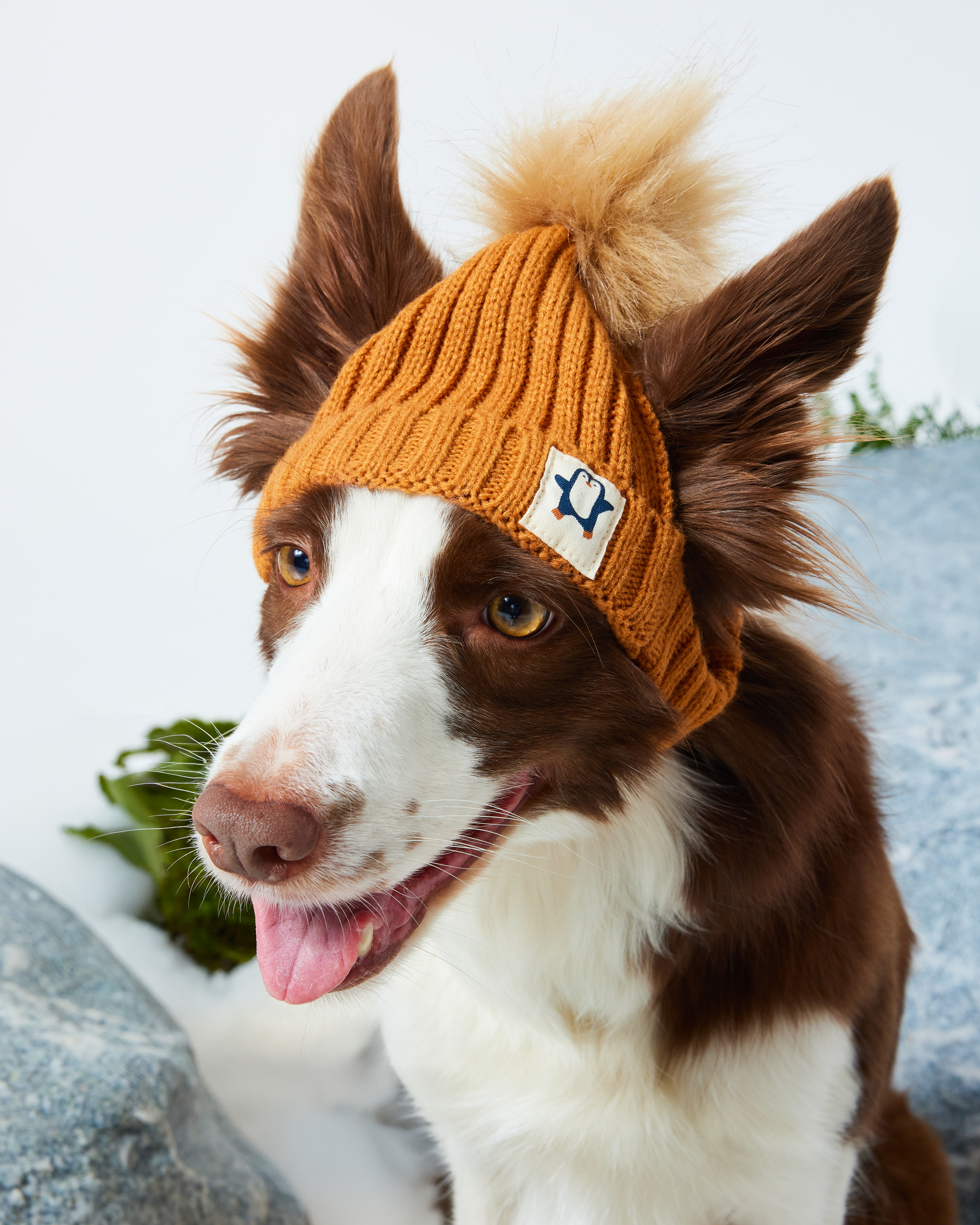 Шапка для собак и кошек Зоозавр - фото 2