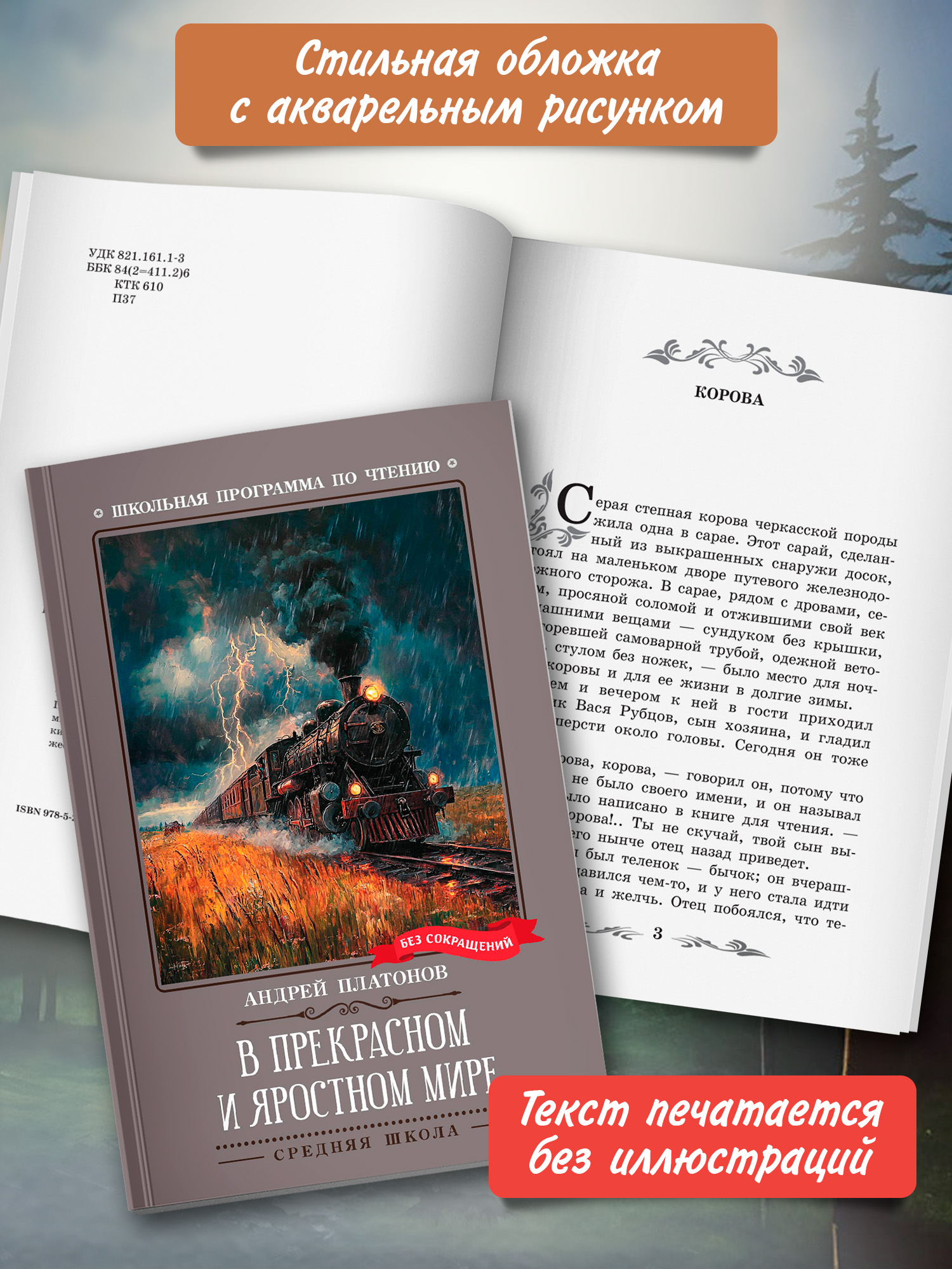 В прекрасном и яростном мире Феникс Книга - фото 4