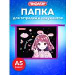 Папка для тетрадей Пифагор аниме А5