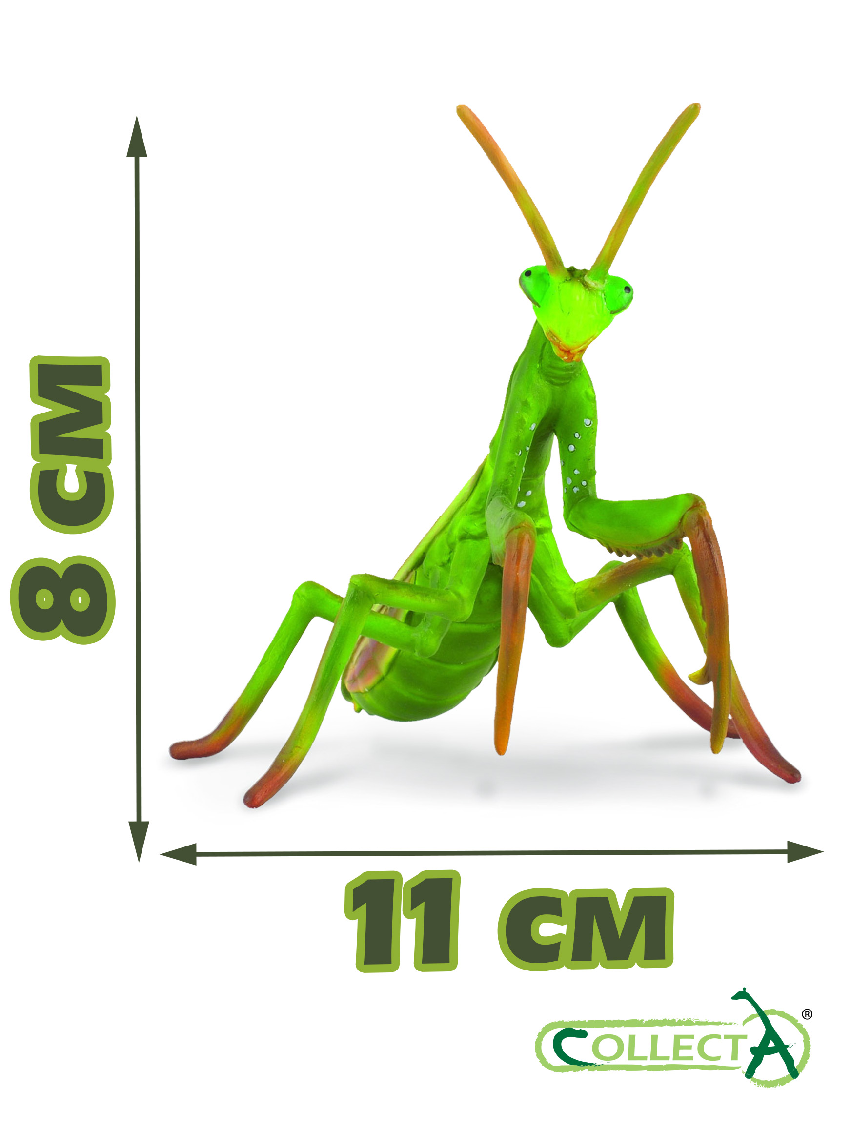 Игровой набор Collecta Насекомое - фото 3