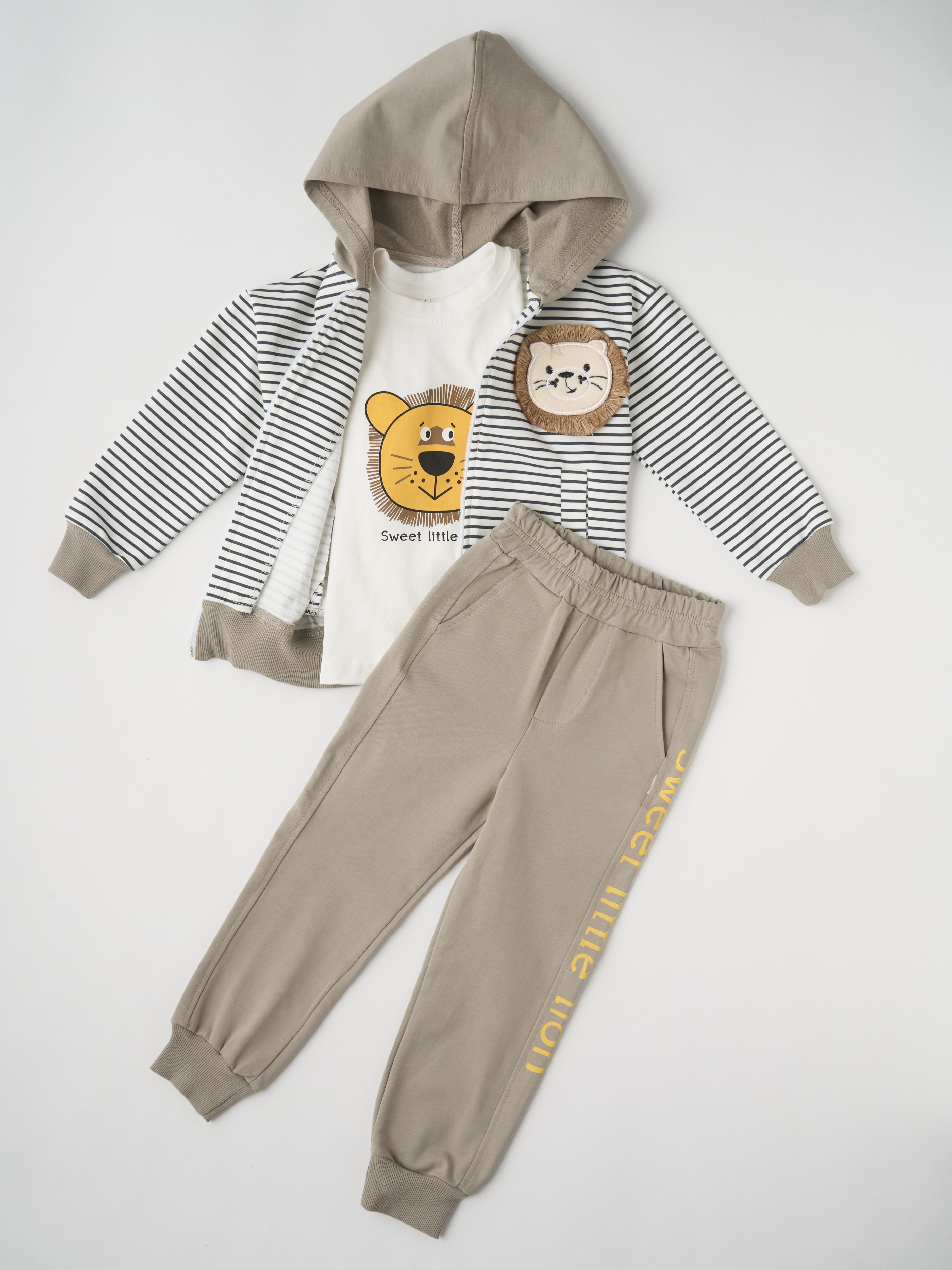 Спортивный костюм СODJAstore WBtroyka_lion - фото 1