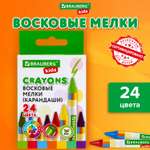 Восковые мелки Brauberg 24 шт.