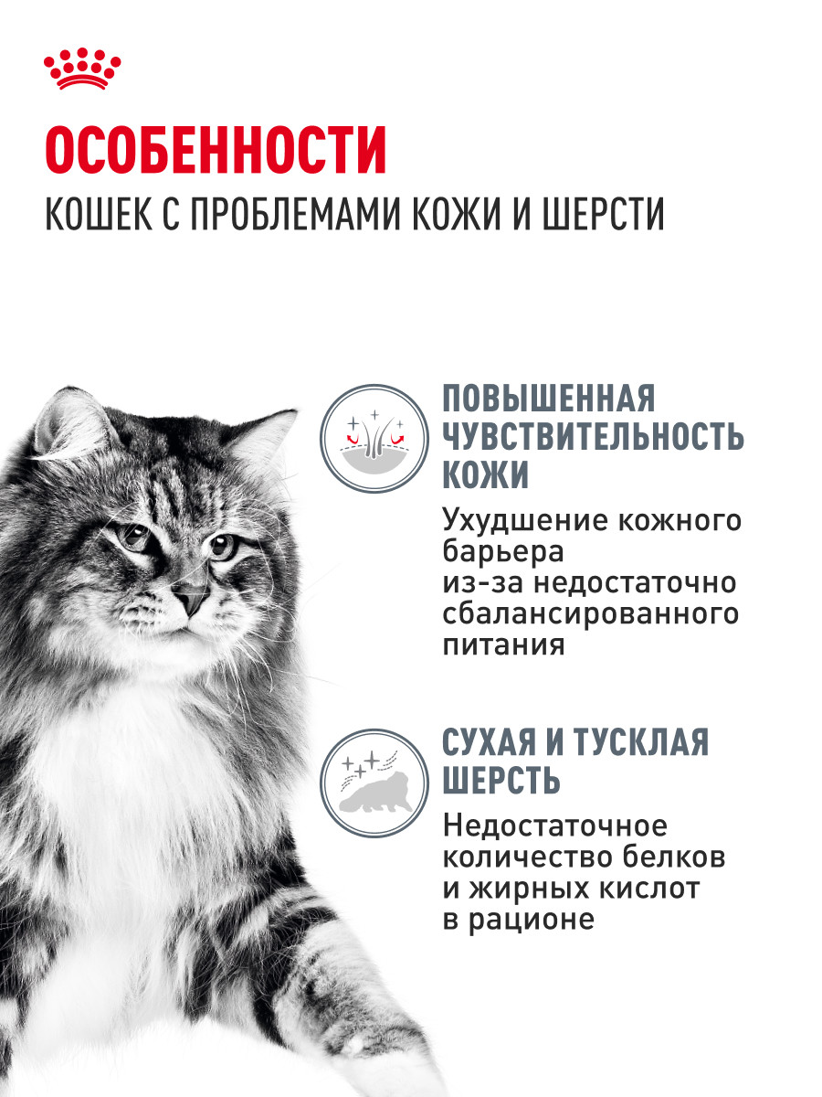 Корм для кошек Royal Canin 85г Hair Skin Care пауч - фото 2