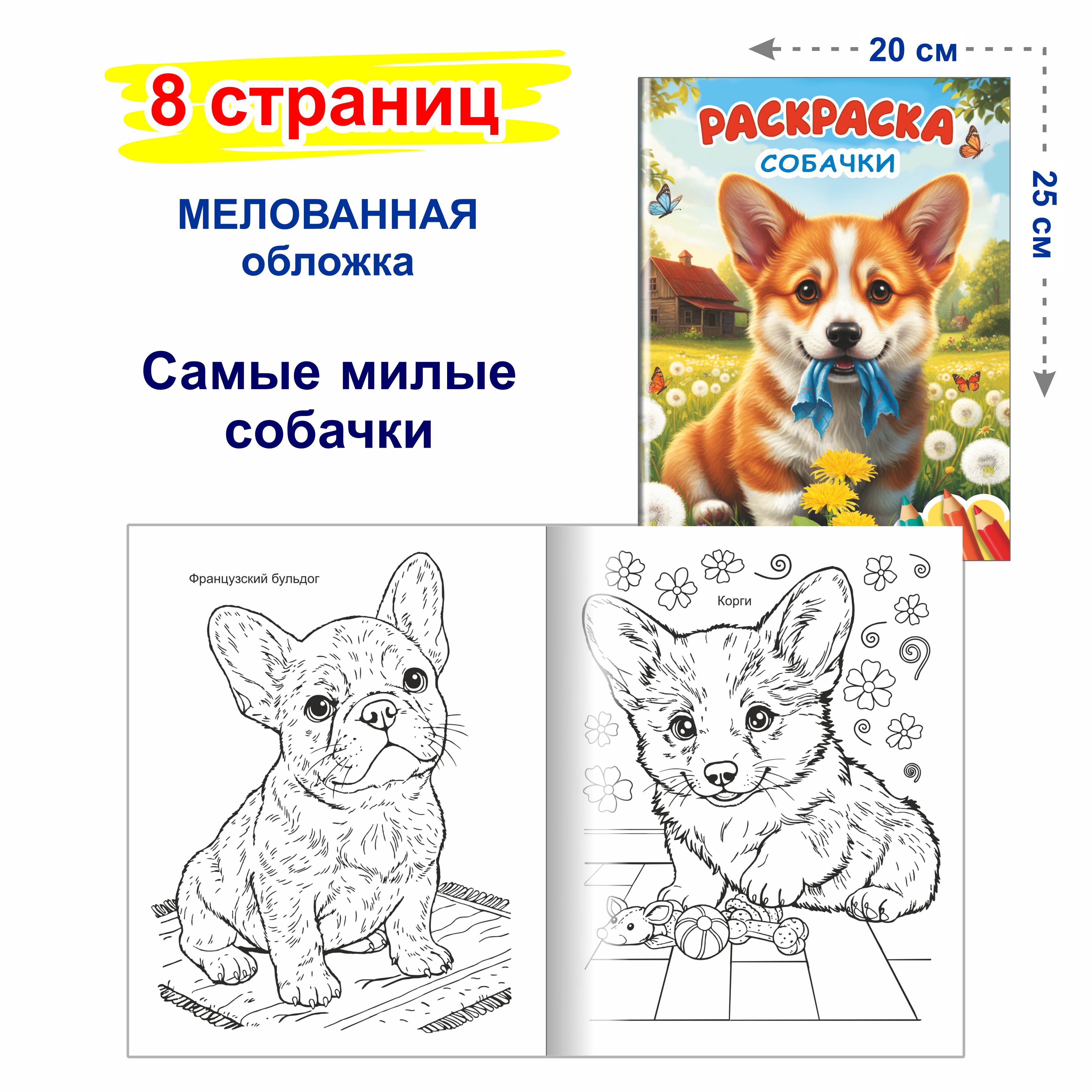 Котики Леда собачки - фото 4