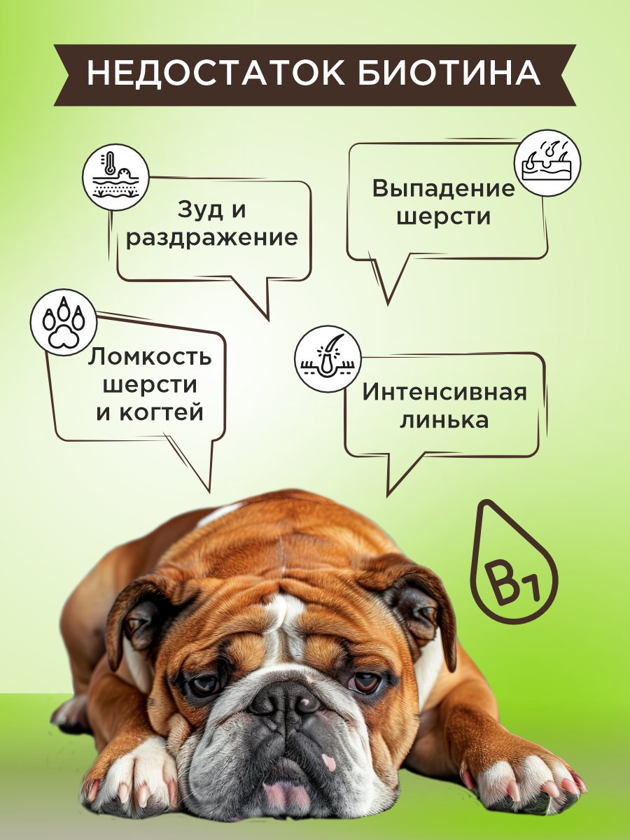 Полезное лакомство для собак GOODR DOG Здоровье кожи и шерсти 90 таблеток - фото 4