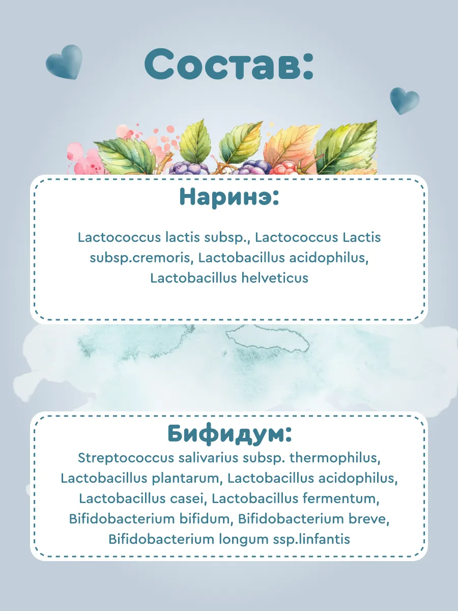 Набор заквасок Полезная Партия лечебный - фото 3