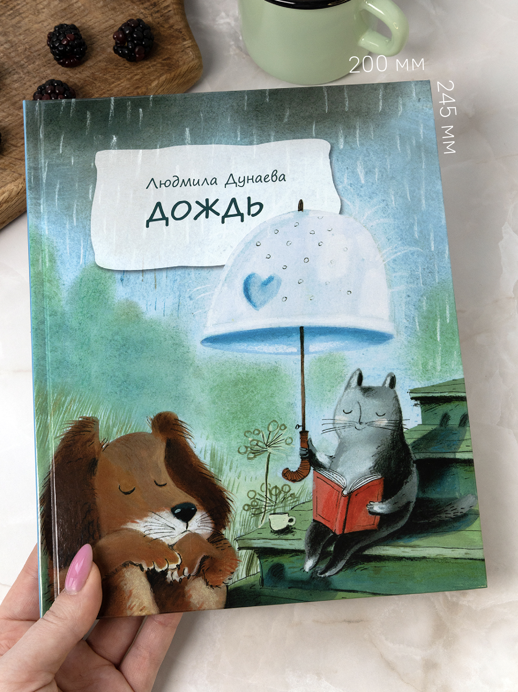 Дождь. Маленькая повесть Никея Книга для детей - фото 13