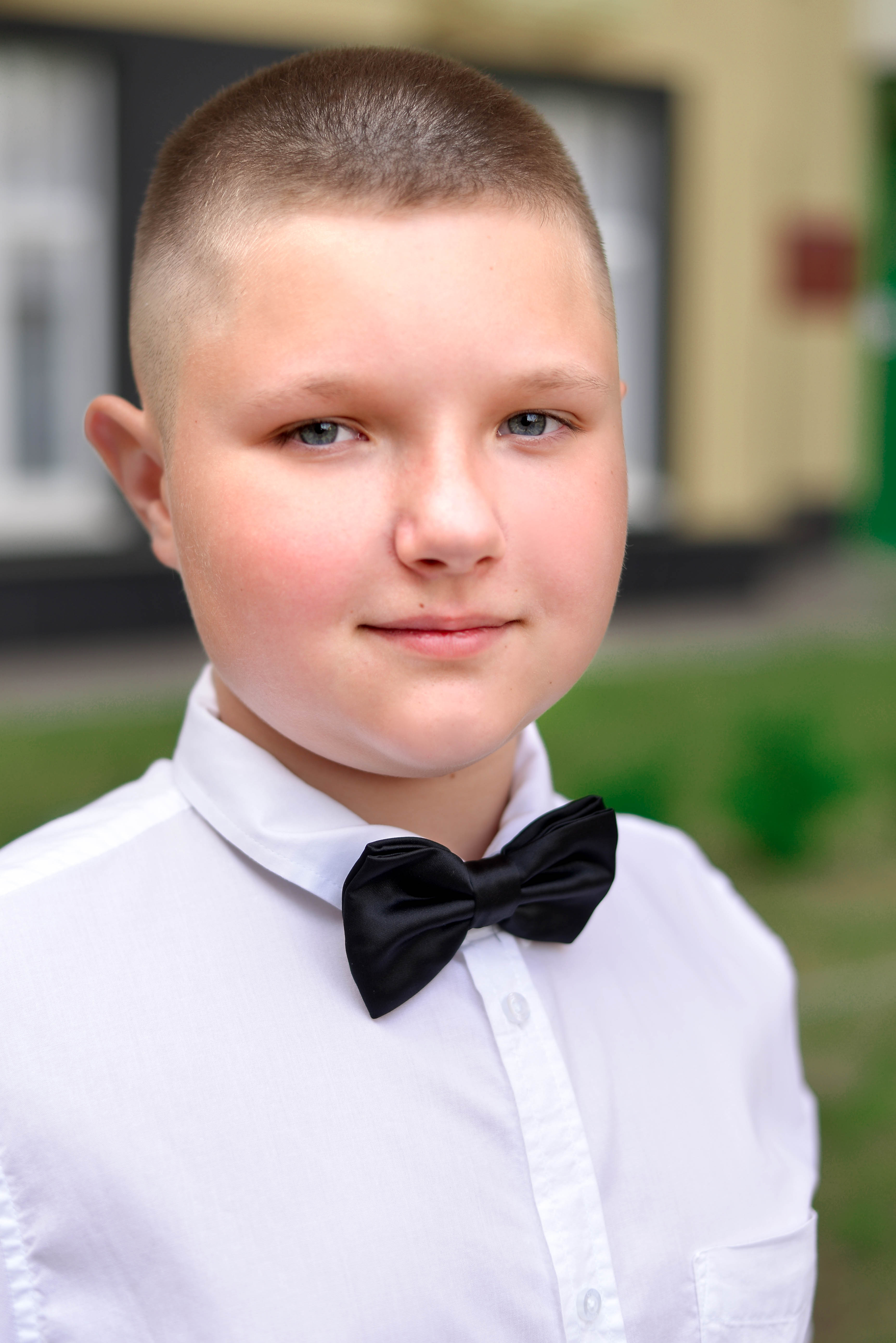Бабочка Stilmark 1339831 - фото 6