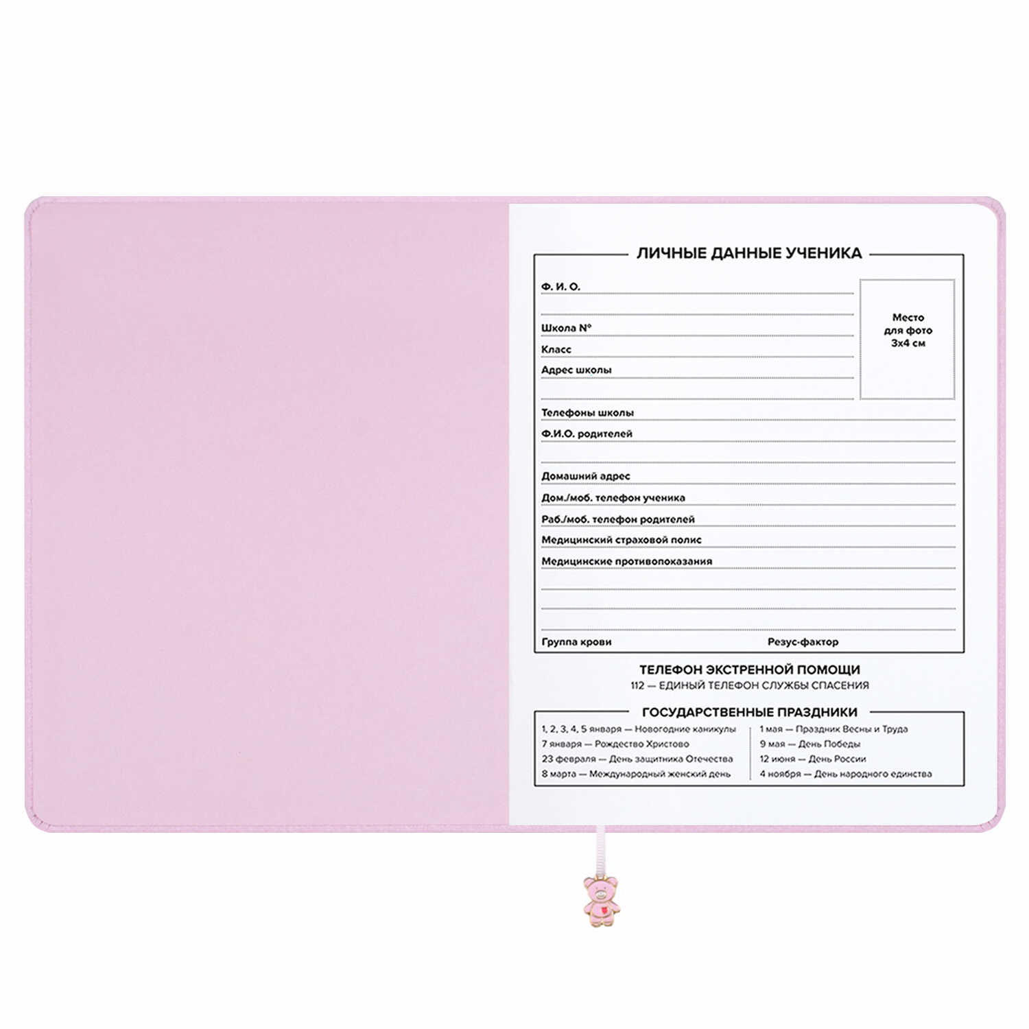Дневник школьный Феникс + Паттерн сердечки - фото 9