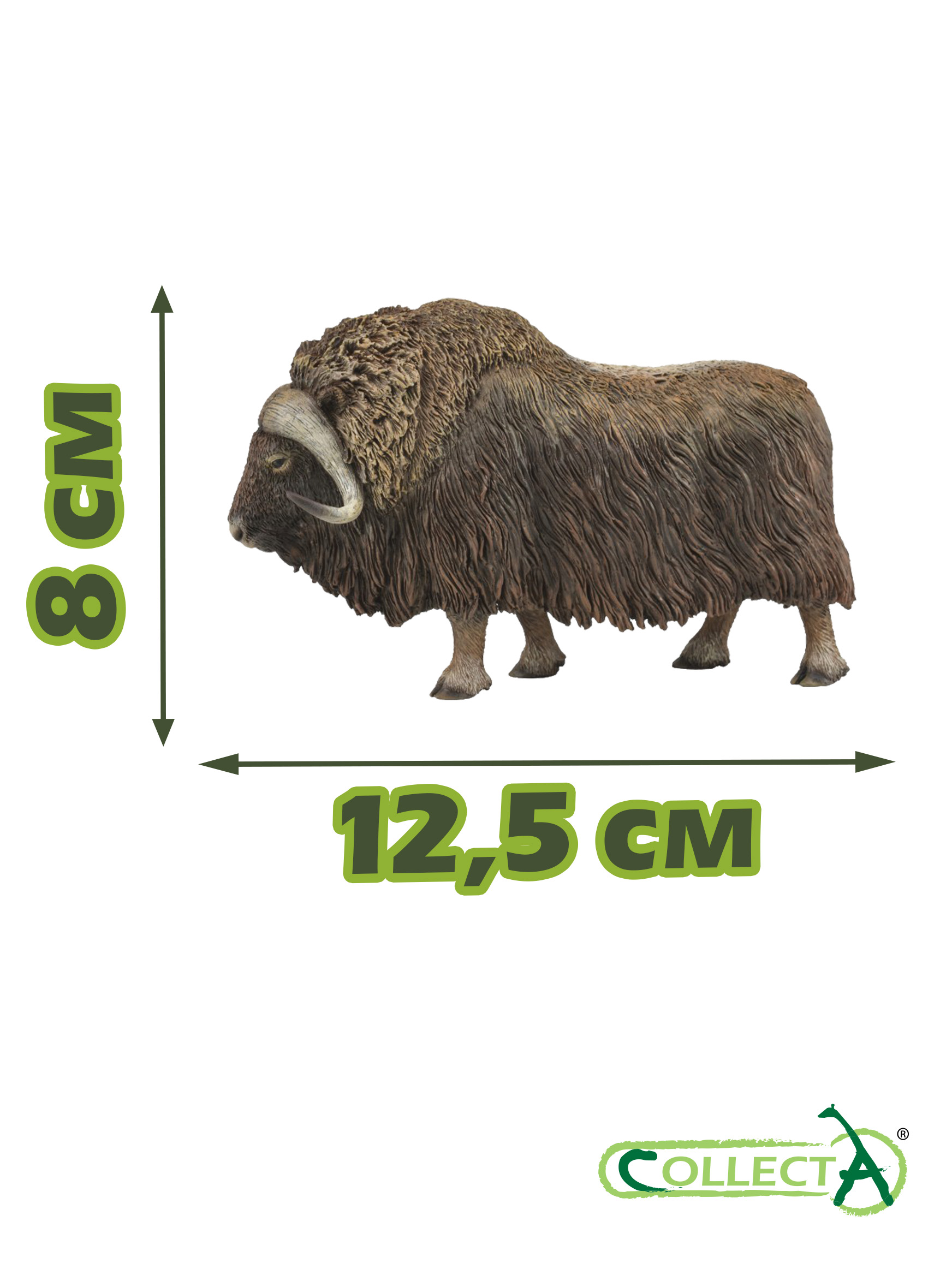 Фигурка Collecta Бык Мускусный - фото 2