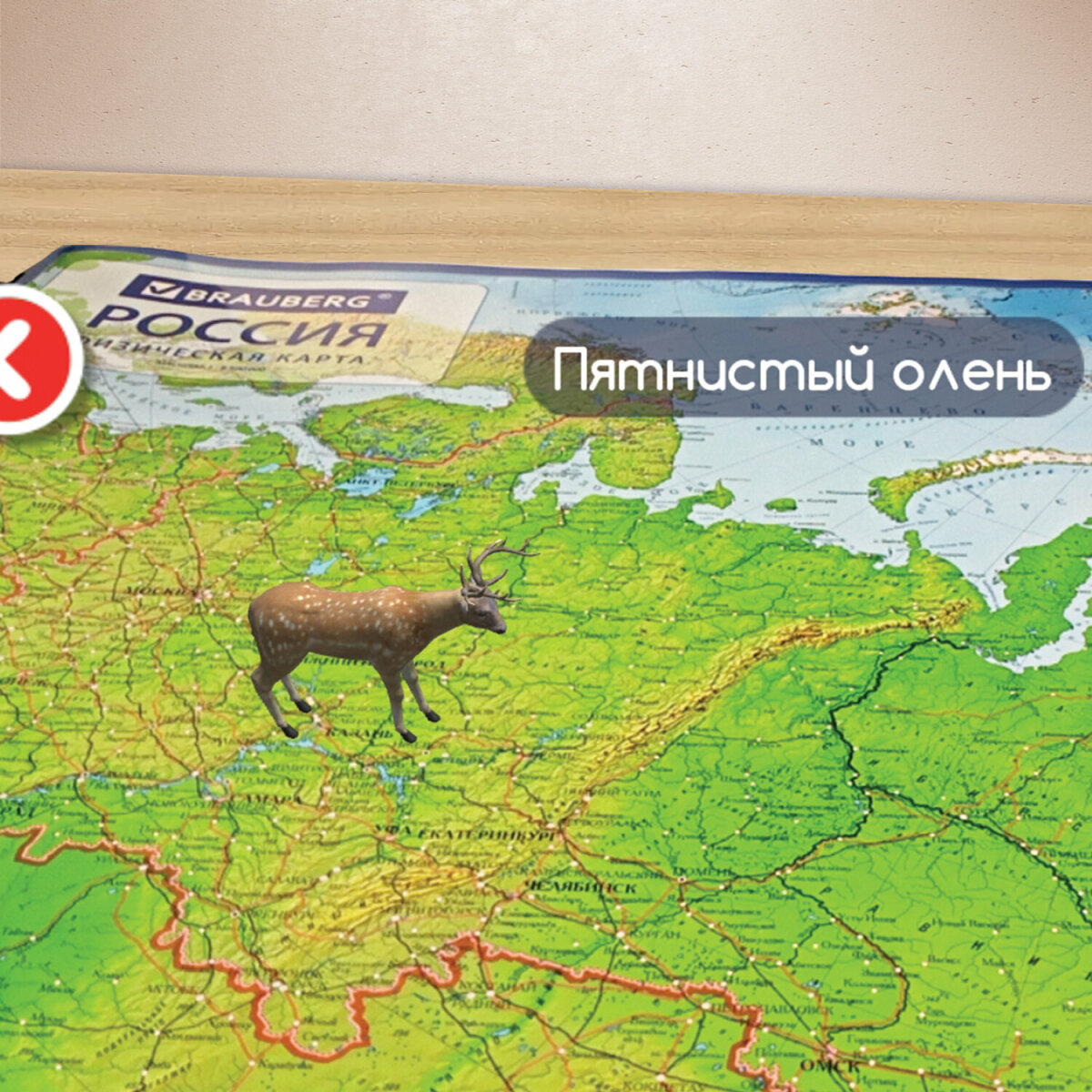 Карта России Brauberg физическая настенная 101х70 см, 1:8,5М, с ламинацией, интерактивная - фото 12