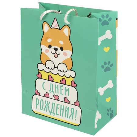 Пакет Чудо Праздник 18*23*10 130гр/м²