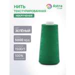 Нитки Astra Craft текстурированные некрученые обметочные 150D/1 5000 ярд 1 шт 213 зеленый