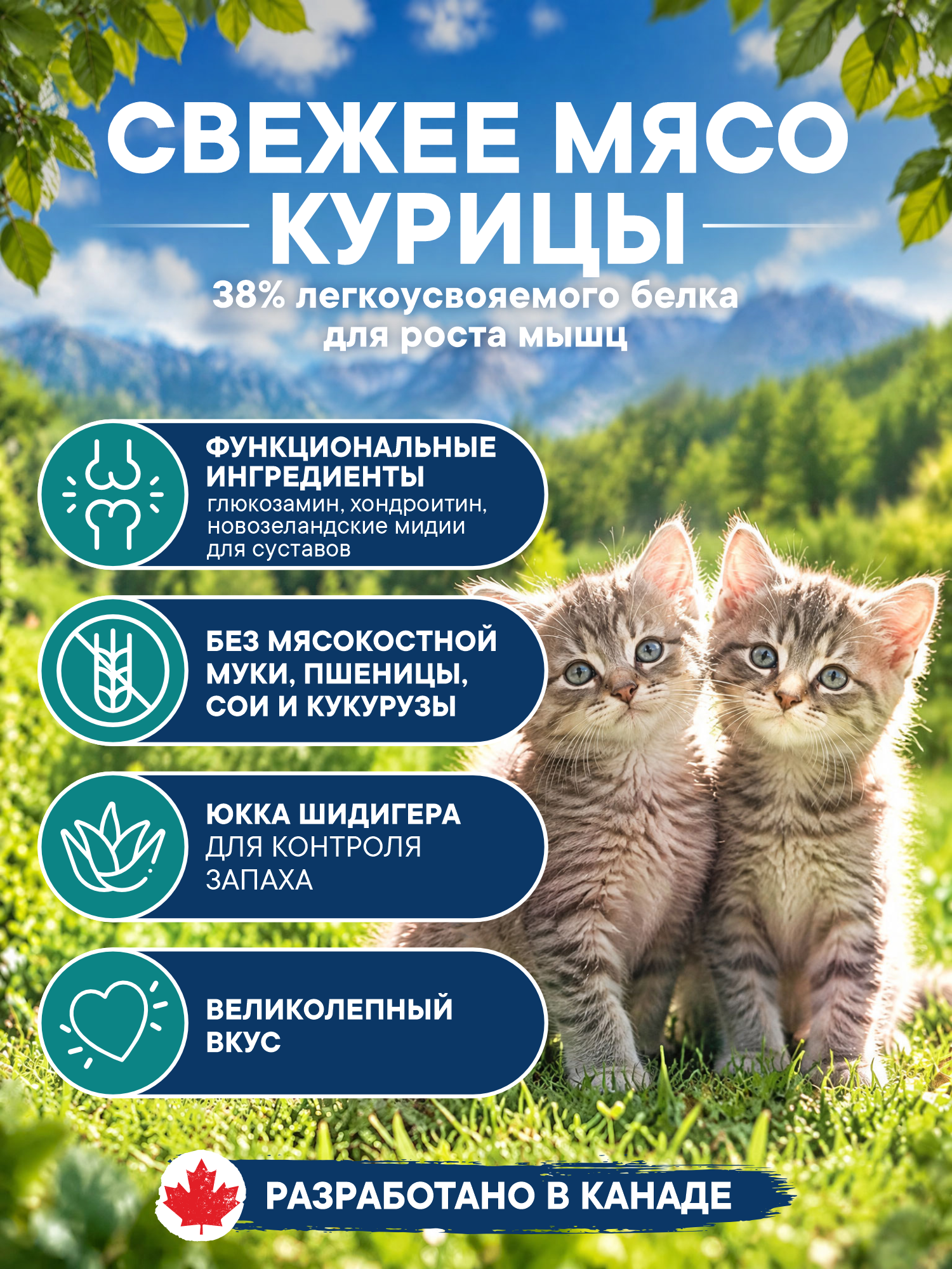 Корм для котят сухой Pronature Holistic Peruvian на курице со сладким картофелем 2кг - фото 2