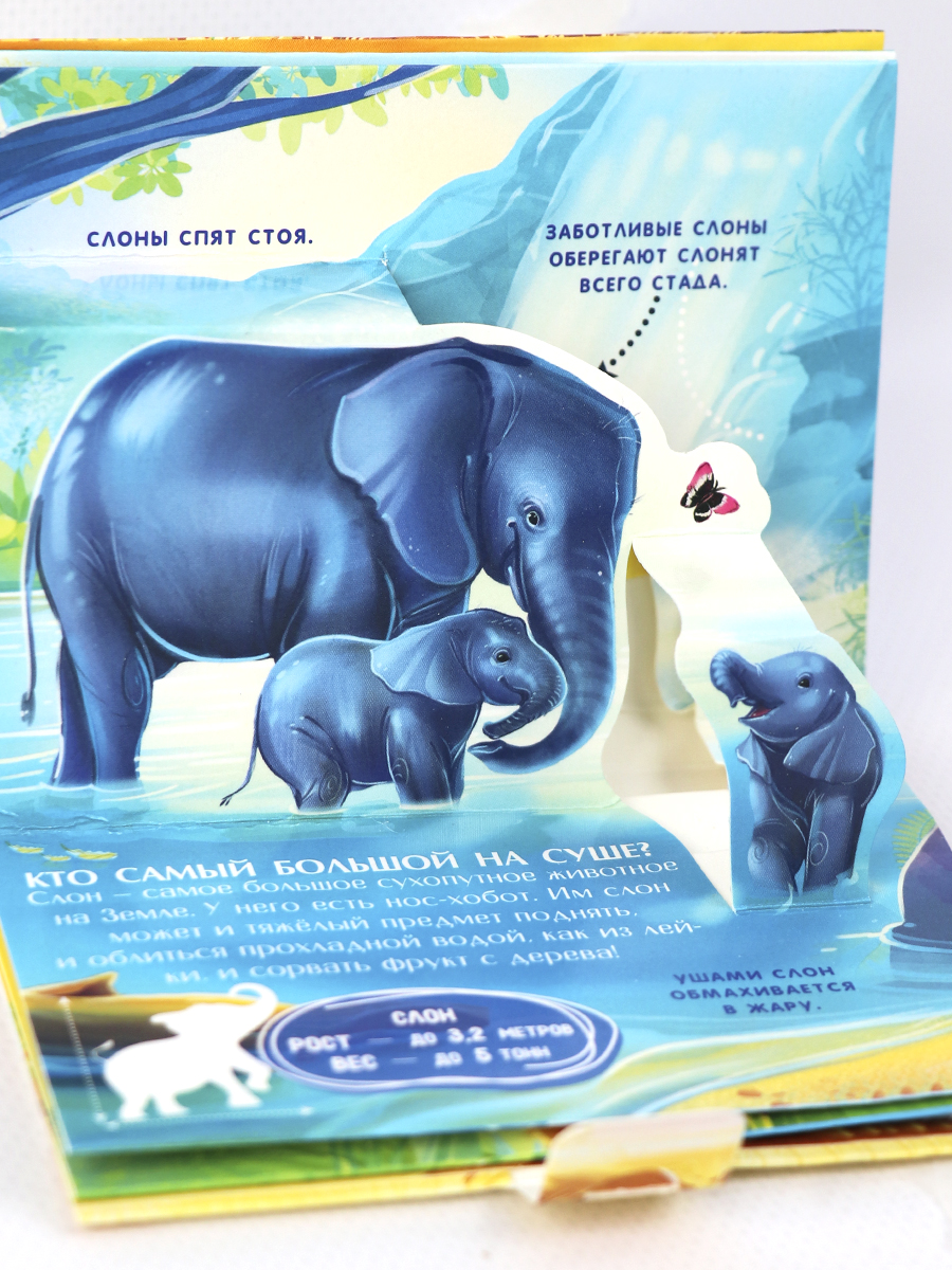 Набор книг Malamalama Коллекция карманных объемных энциклопедий о животных в сундучке - фото 14