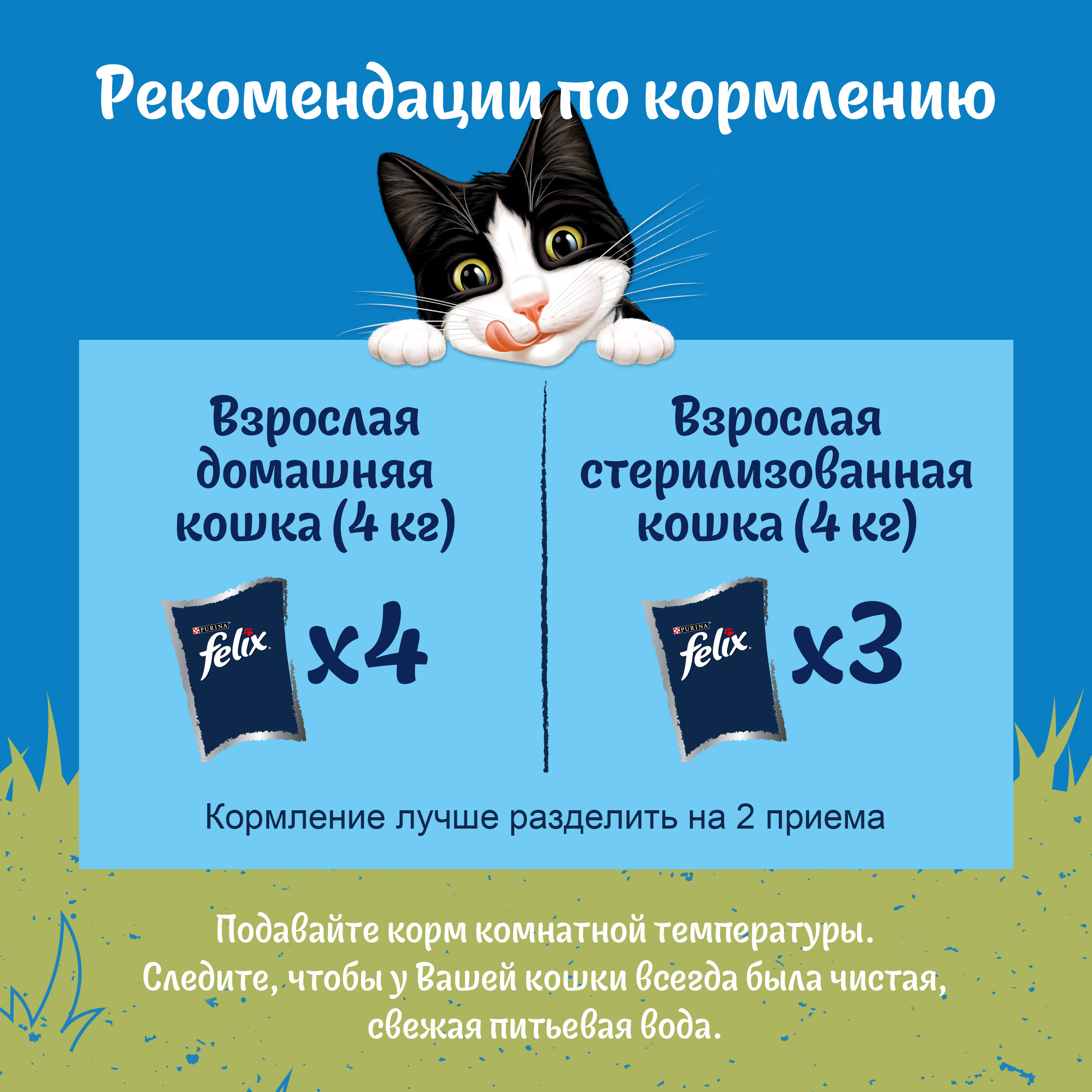 Корм для кошек Felix 75г для взрослых с говядиной в соусе - фото 5