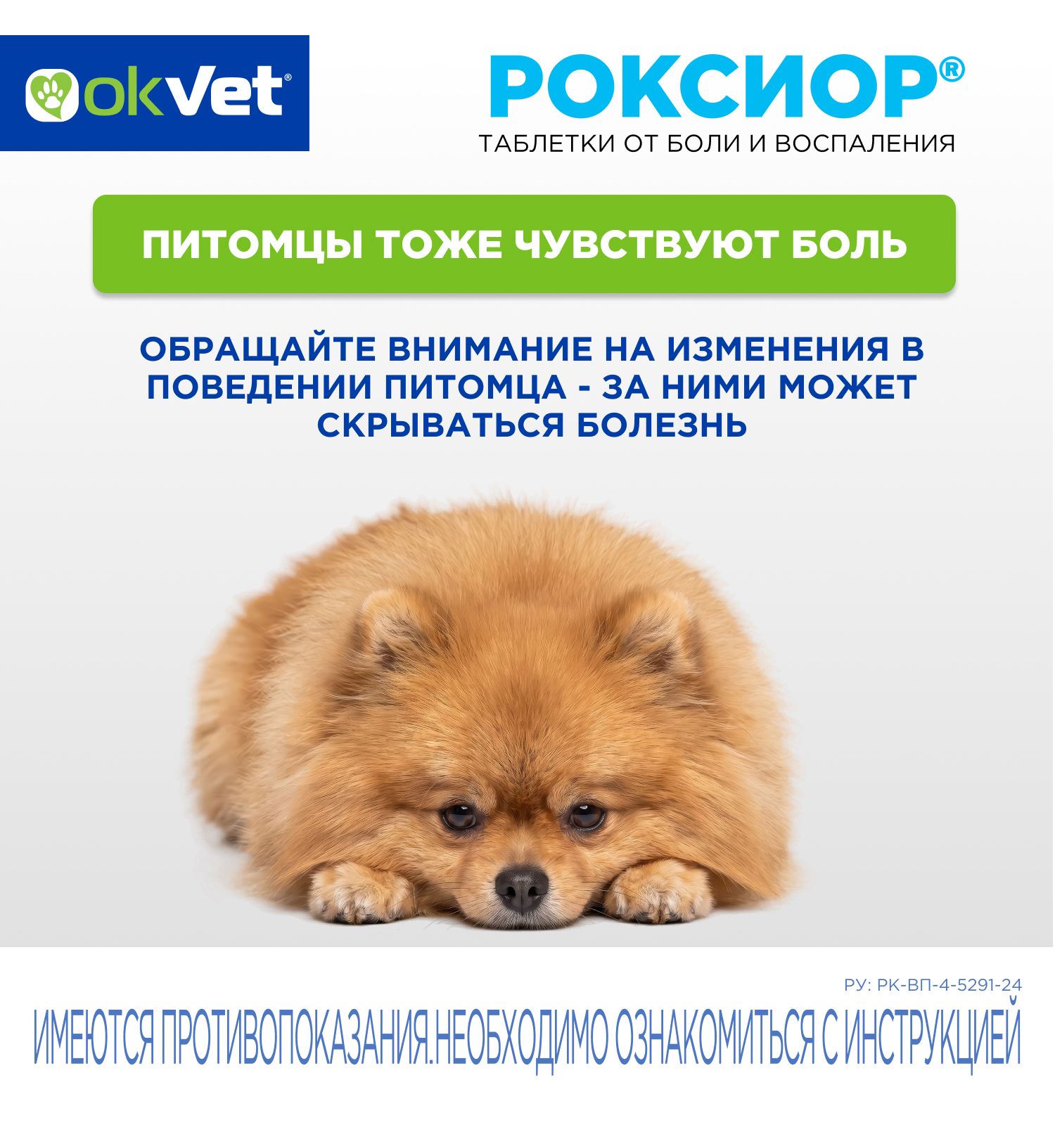Таблетки для собак Okvet Роксиор нестероидный противовоспалительный препарат 5мг 10 таблеток - фото 7