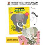 Книга с окошками и pop up Счастье внутри из научной серии Дискавери с интерактивными страницами Животные
