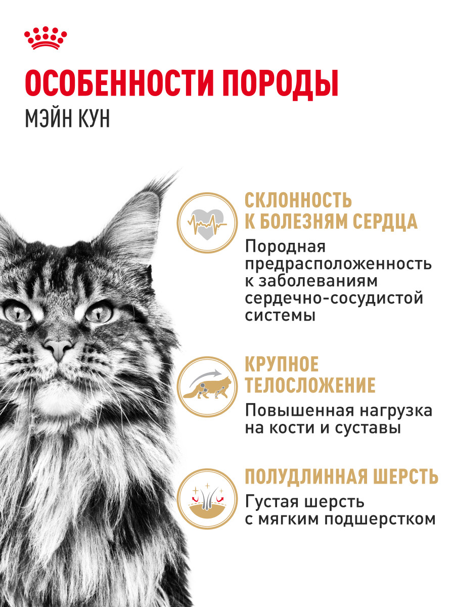 Корм для кошек ROYAL CANIN Мейн кун соус 85г - фото 2