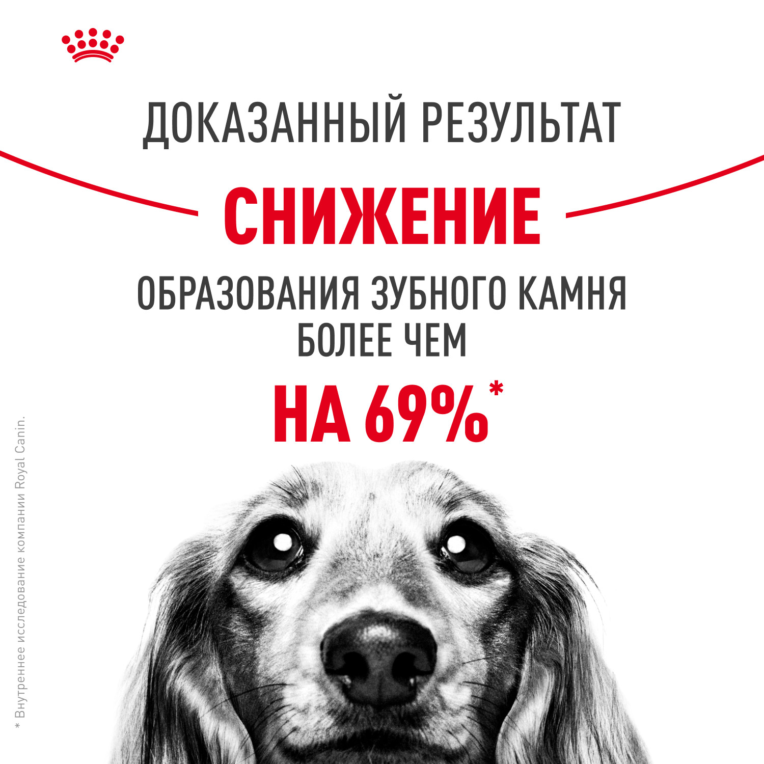 Корм для собак ROYAL CANIN Mini Dental мелких пород предрасположенных к образованию зубного камня 1кг - фото 4