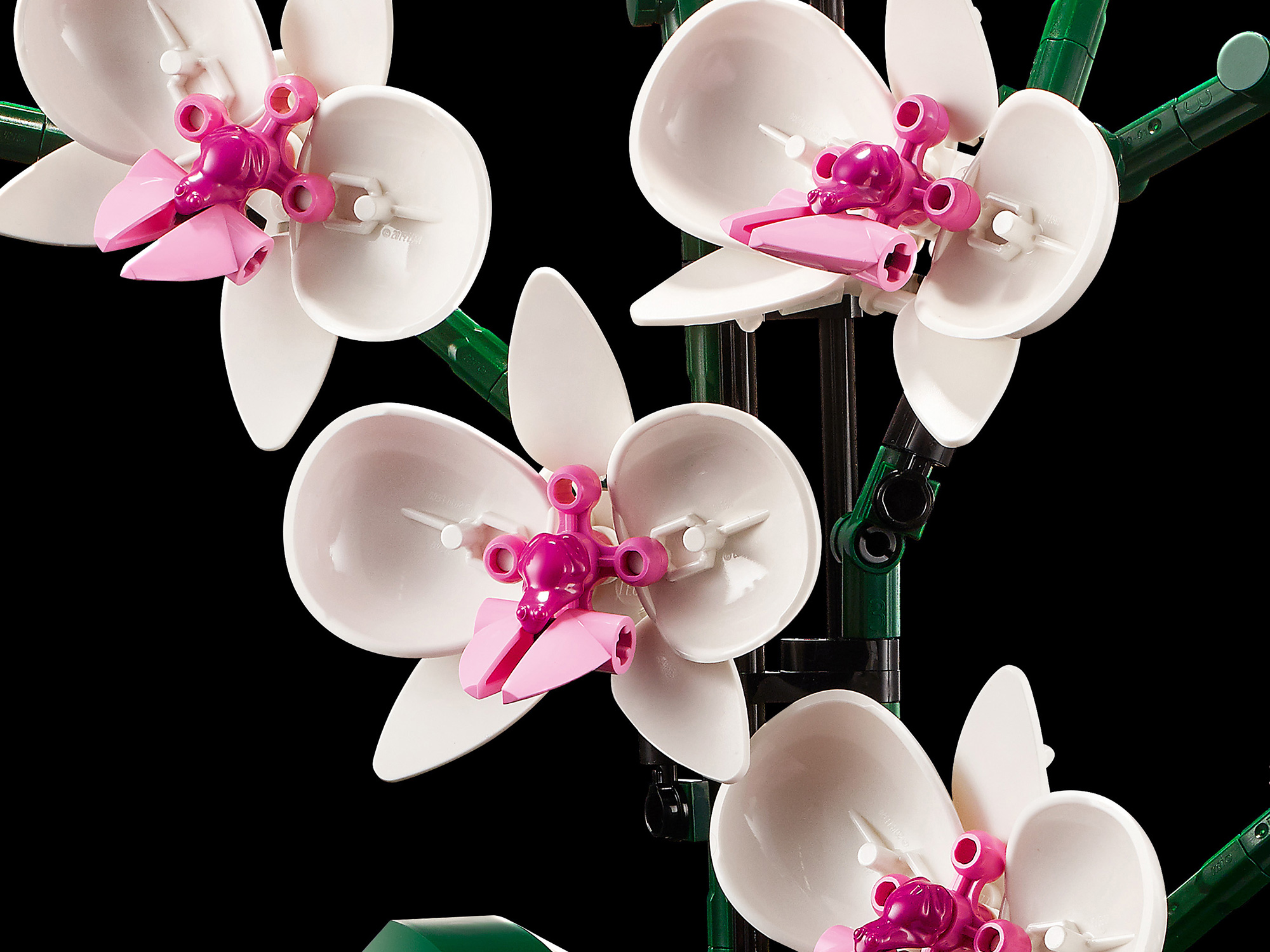 Конструктор LEGO Botanicals Орхидея в горшке 608 дет. - фото 4
