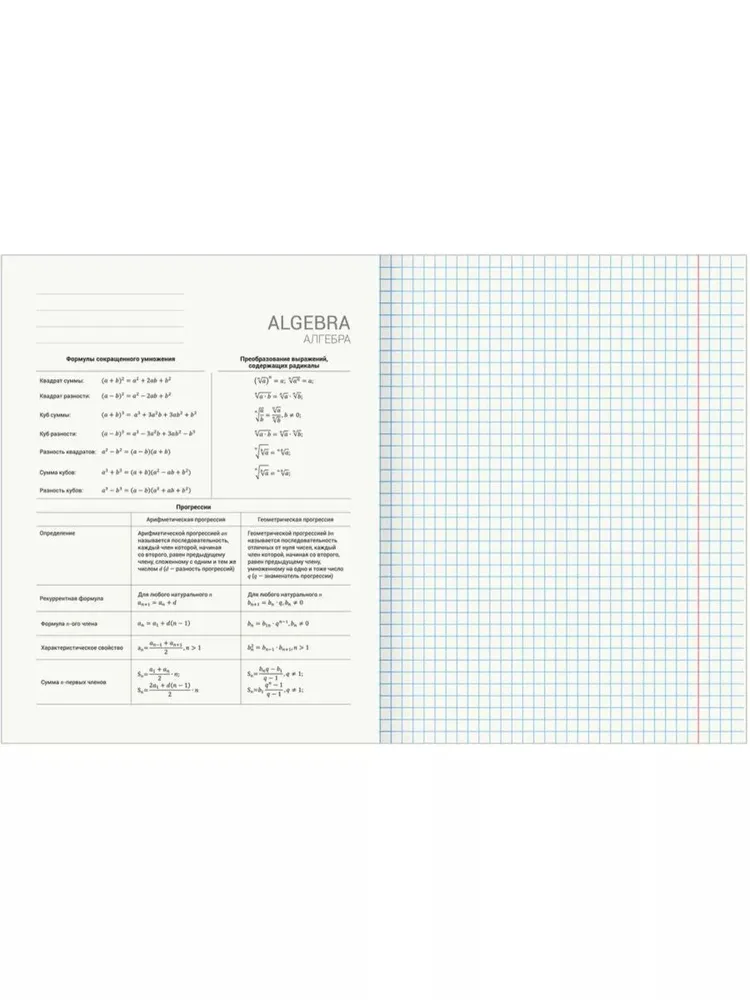 Тетрадь Brauberg 48 лист. 12 шт. - фото 7