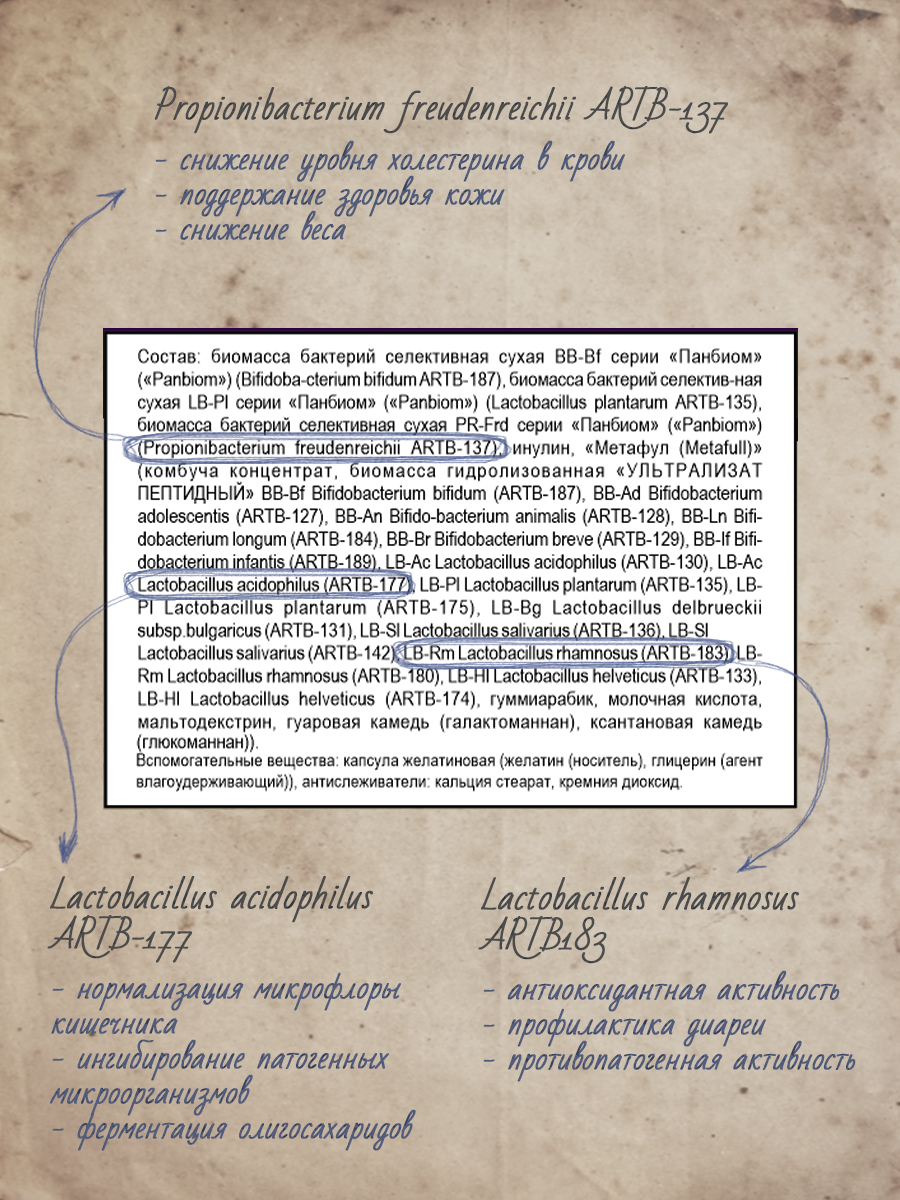 Набор MedCraft Пробиотиков Пробиофул - фото 7
