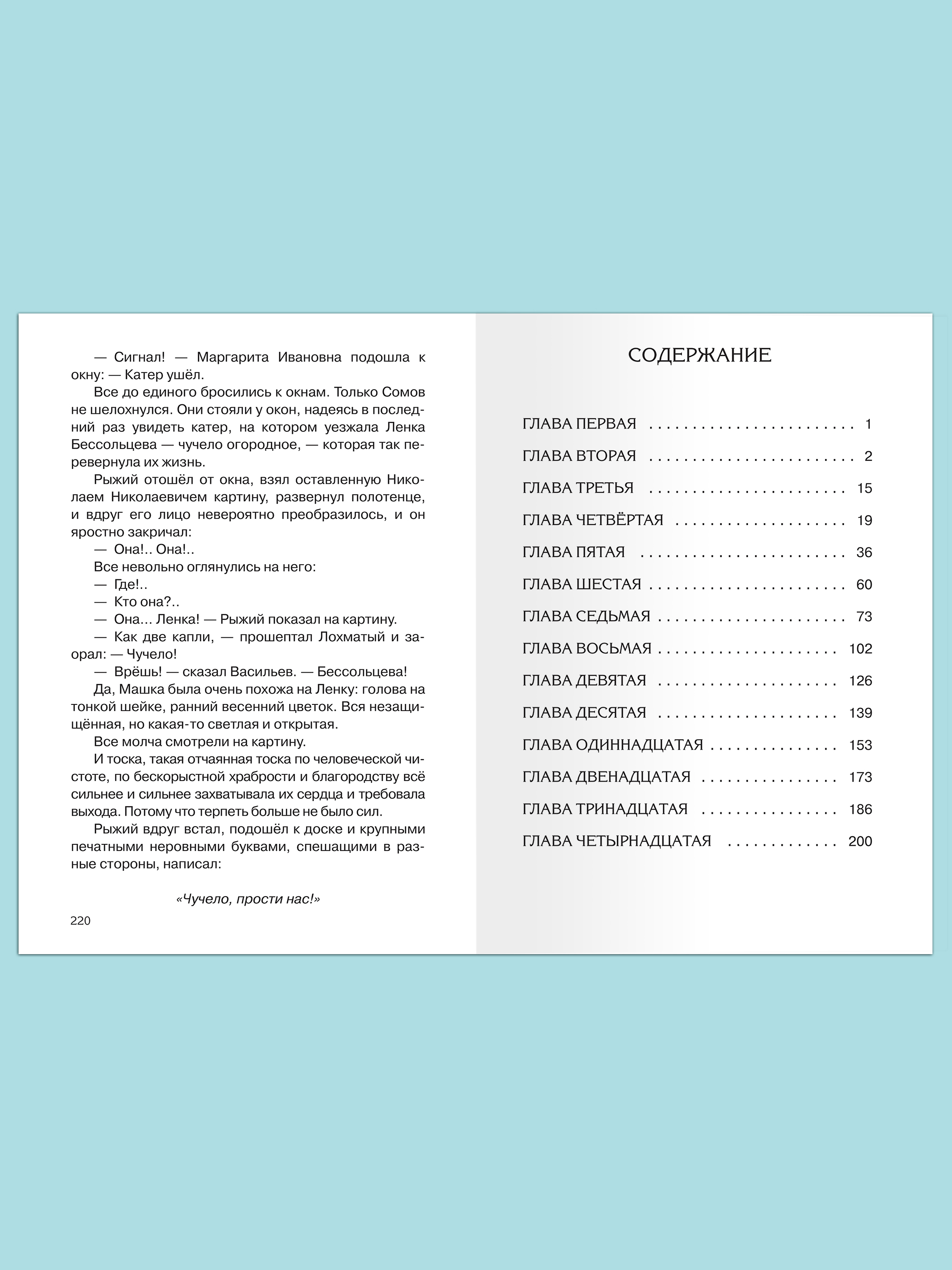 Книга Омега-Пресс Внеклассное чтение. Железников В. Чучело - фото 9