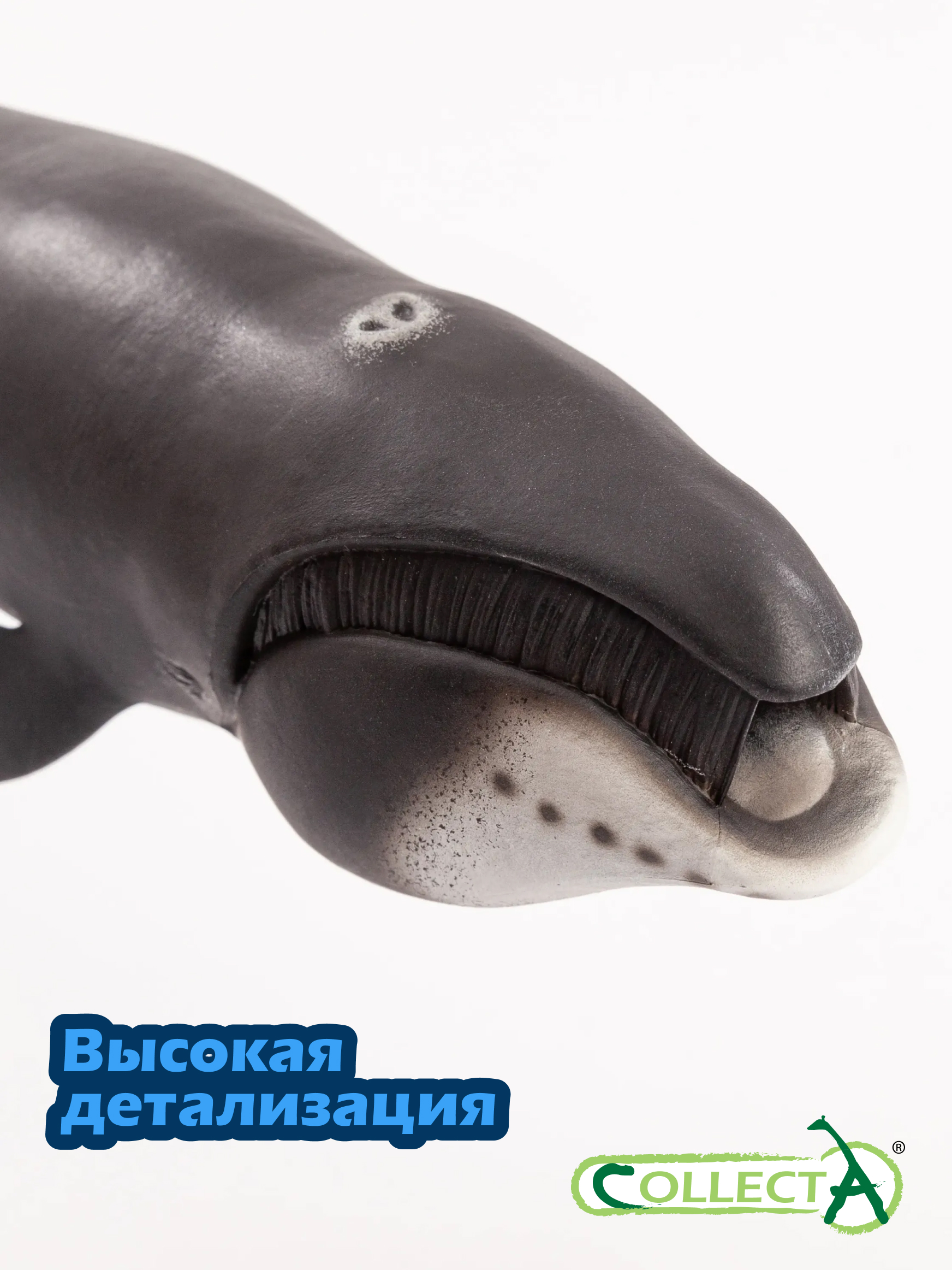 Фигурка Collecta Гренландский Кит - фото 3
