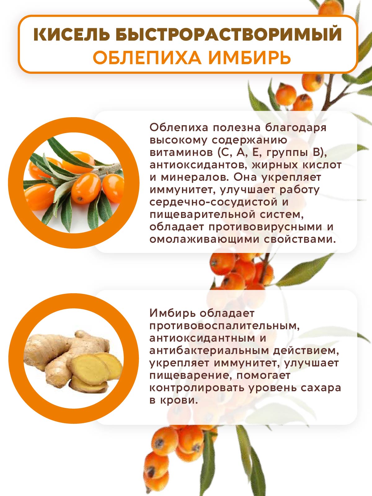 Псиллиум Кисель Вастэко без сахара Облепиха-Имбирь 300г - фото 4